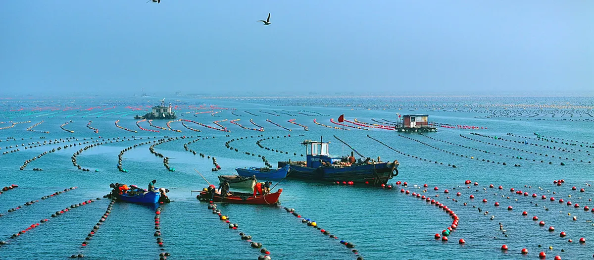 La economía marina